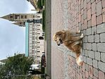 IMG_9906