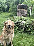 IMG_9902