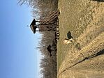 IMG_9540