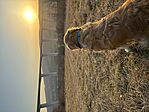 IMG_9560