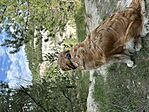 IMG_9973