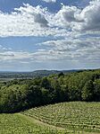 IMG_0091