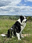 IMG_0037