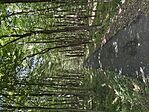 IMG_0088
