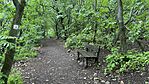 IMG_4951