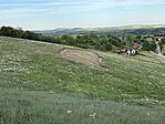 IMG_1428