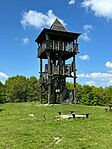 IMG_7919