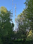 IMG_8121