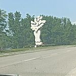IMG_20250503_141256.jpg