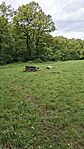 20250508_094513