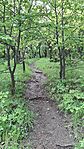 20250508_095558