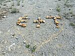 IMG_20250502_123505