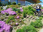IMG_20250501_121819