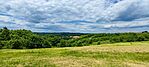 IMG_20250524_122838