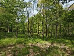 IMG_20250503_152630