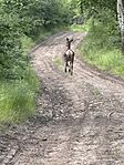 IMG_0725