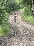 IMG_0726