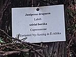 IMG_20250506_104515