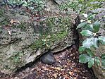 IMG_20250506_104424
