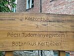 IMG_20250506_103217