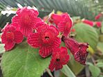 IMG_20250506_111023