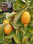 IMG_20250506_111415
