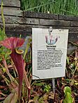 IMG_20250506_110347