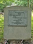 IMG_20250511_100347
