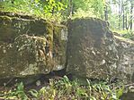IMG_20250511_094543