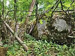 IMG_20250511_094221