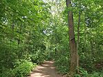 IMG_20250517_155946