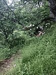 IMG_20250531_132532