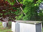 20250525_090205_compress61