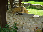 DSC00280