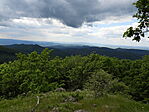 DSCN6579