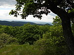 DSCN6582