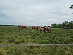IMG_20250504_123020965