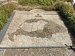 IMG_20250525_074731