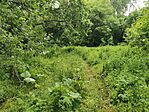 IMG_20250524_161359