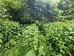 IMG_20250524_161444