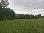 IMG_20250524_163052