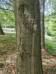 IMG_20250504_124825