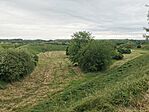 IMG_20250523_180020