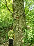 IMG_20250430_130606
