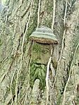IMG_20250430_130635