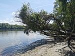 IMG_20250430_130831