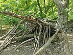 IMG_20250430_131203