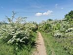 IMG_20250430_111548