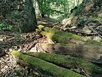 IMG_20250420_180608