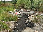 IMG_20240613_175942